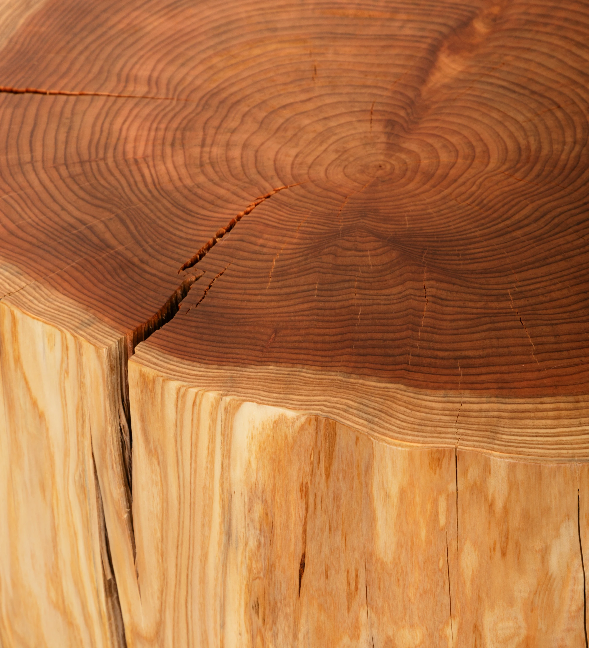 Mesa de centro Tronco mediana en madera natural de cryptomeria, Ø 60 a 75 cm.