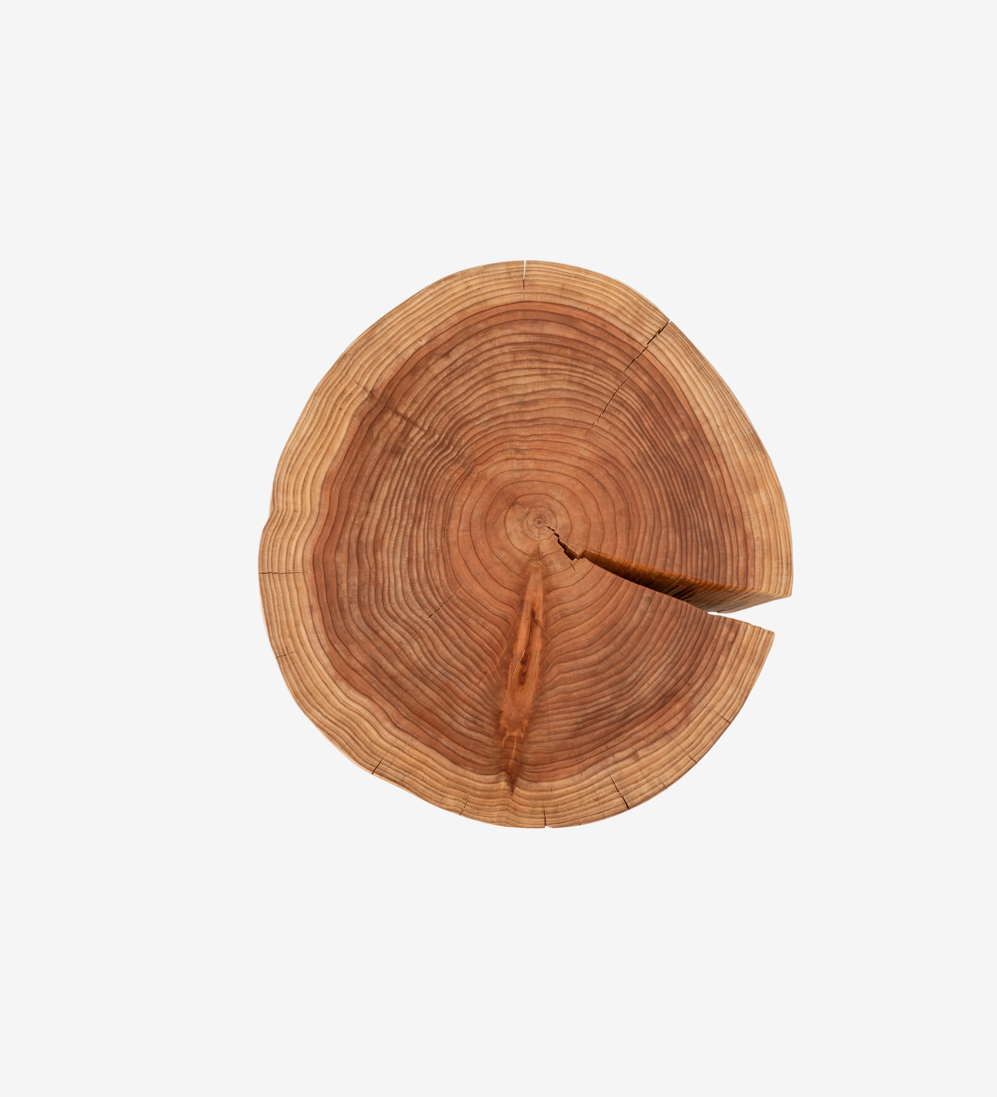 Corte transversal de tronco de madera con anillos y una grieta