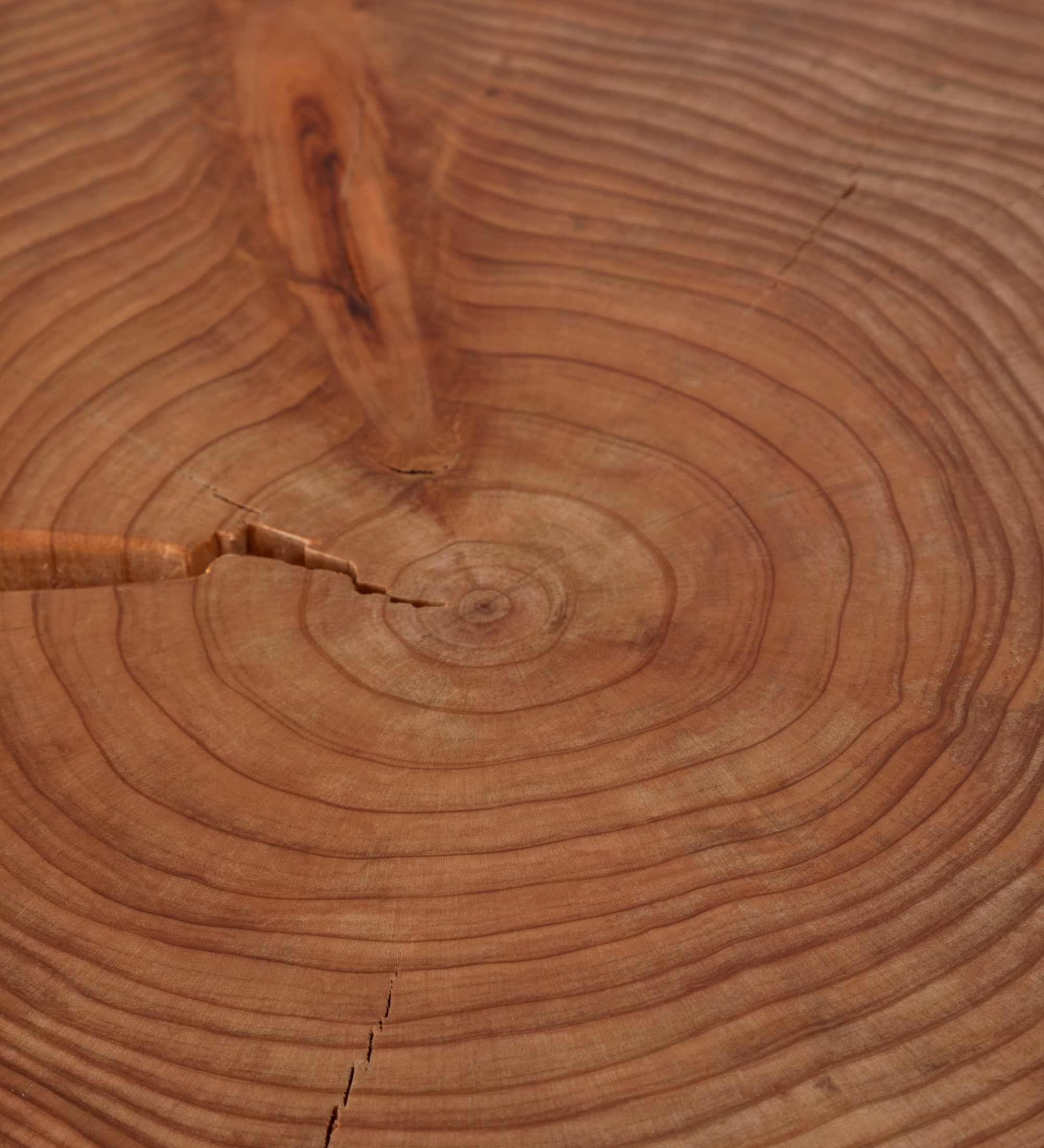 Mesa Auxiliar Tronco vista superior con anillos de crecimiento y grietas