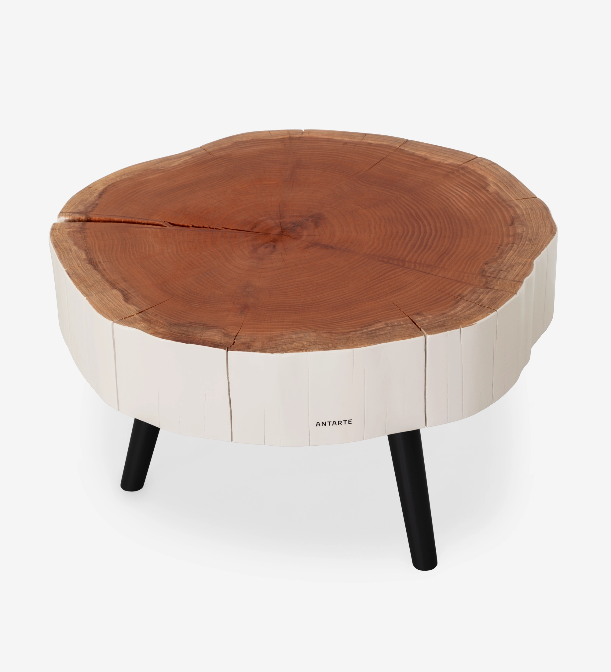 Trunk Center Table with natural wood slice top, white painted sides and black legs