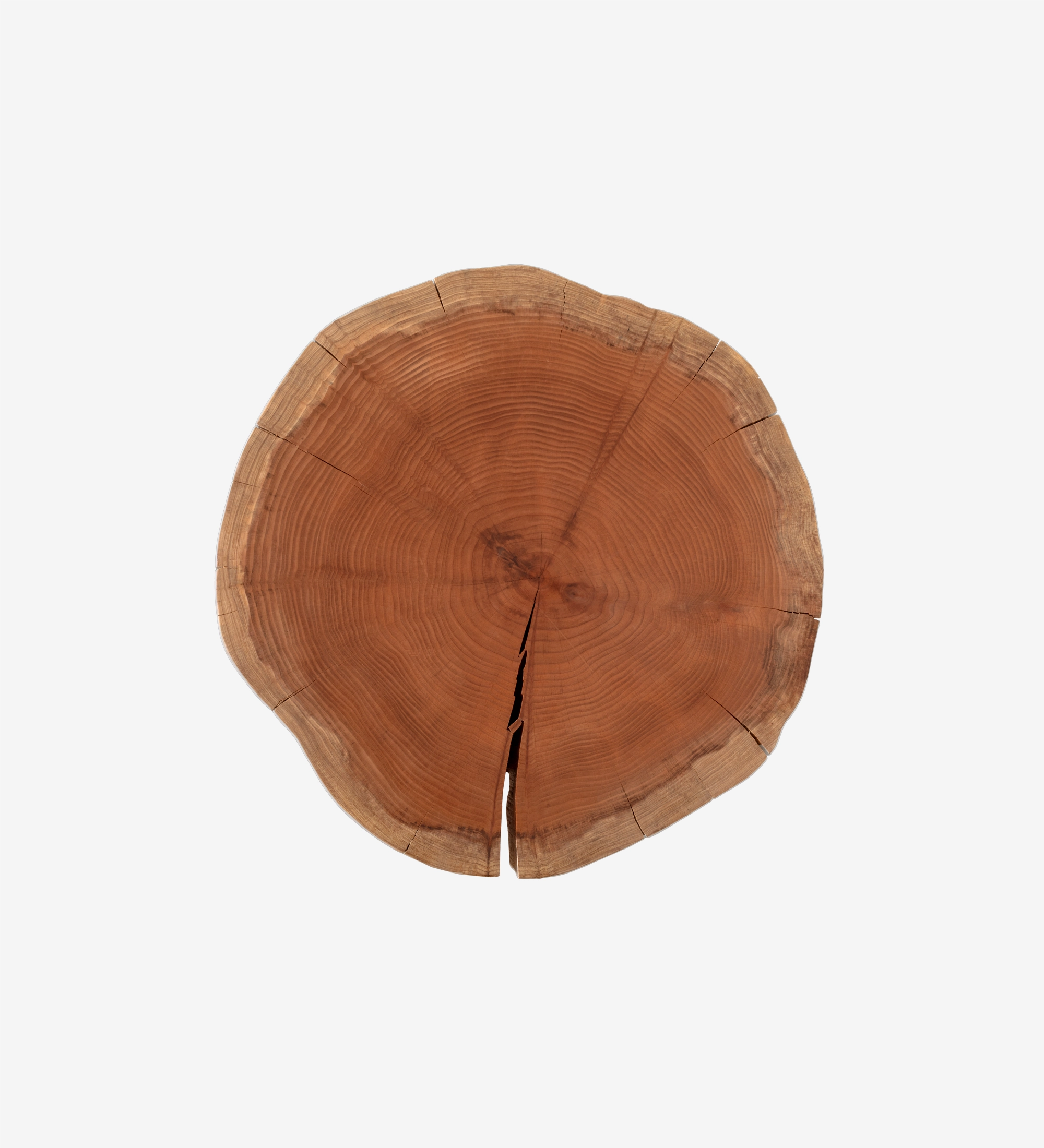 Trunk Center Table top view of round wood slice with growth rings and natural cracks