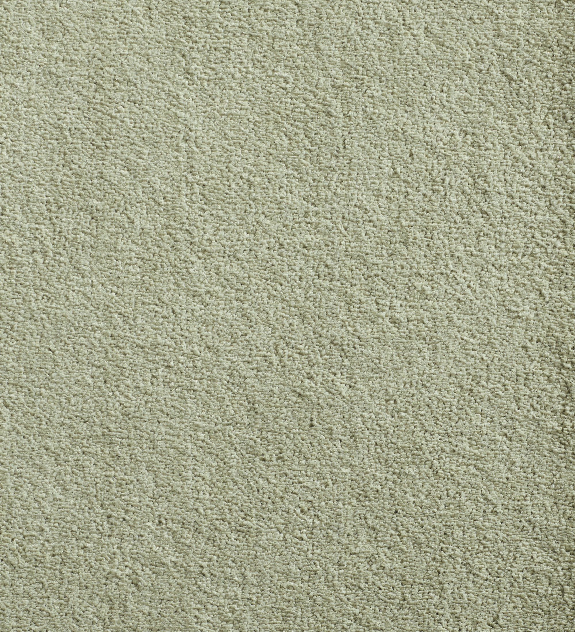 Tapete IMPRESSION 29 bege claro, textura felpuda uniforme