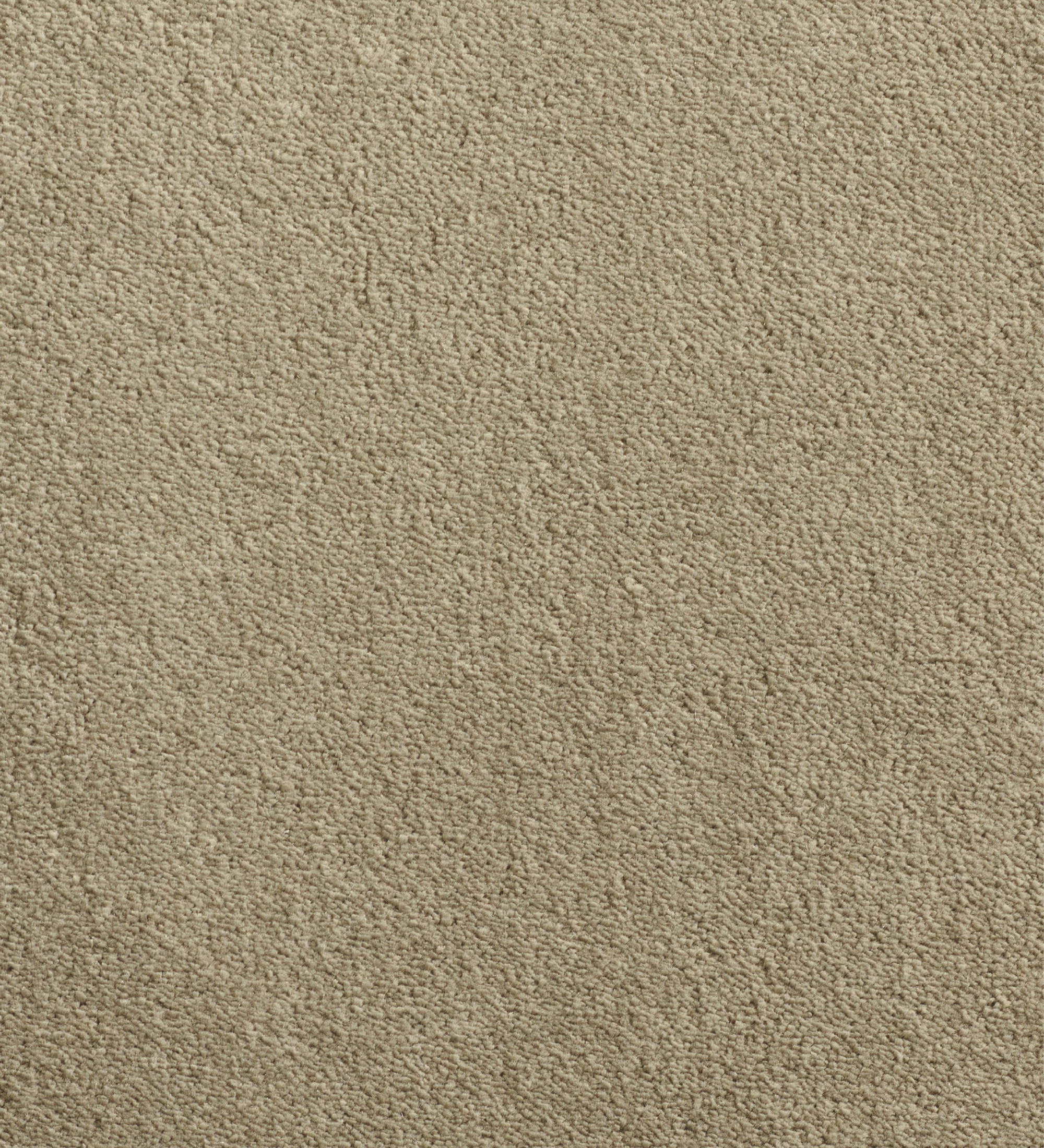 Tapete IMPRESSION 39 bege de pelo curto e textura uniforme