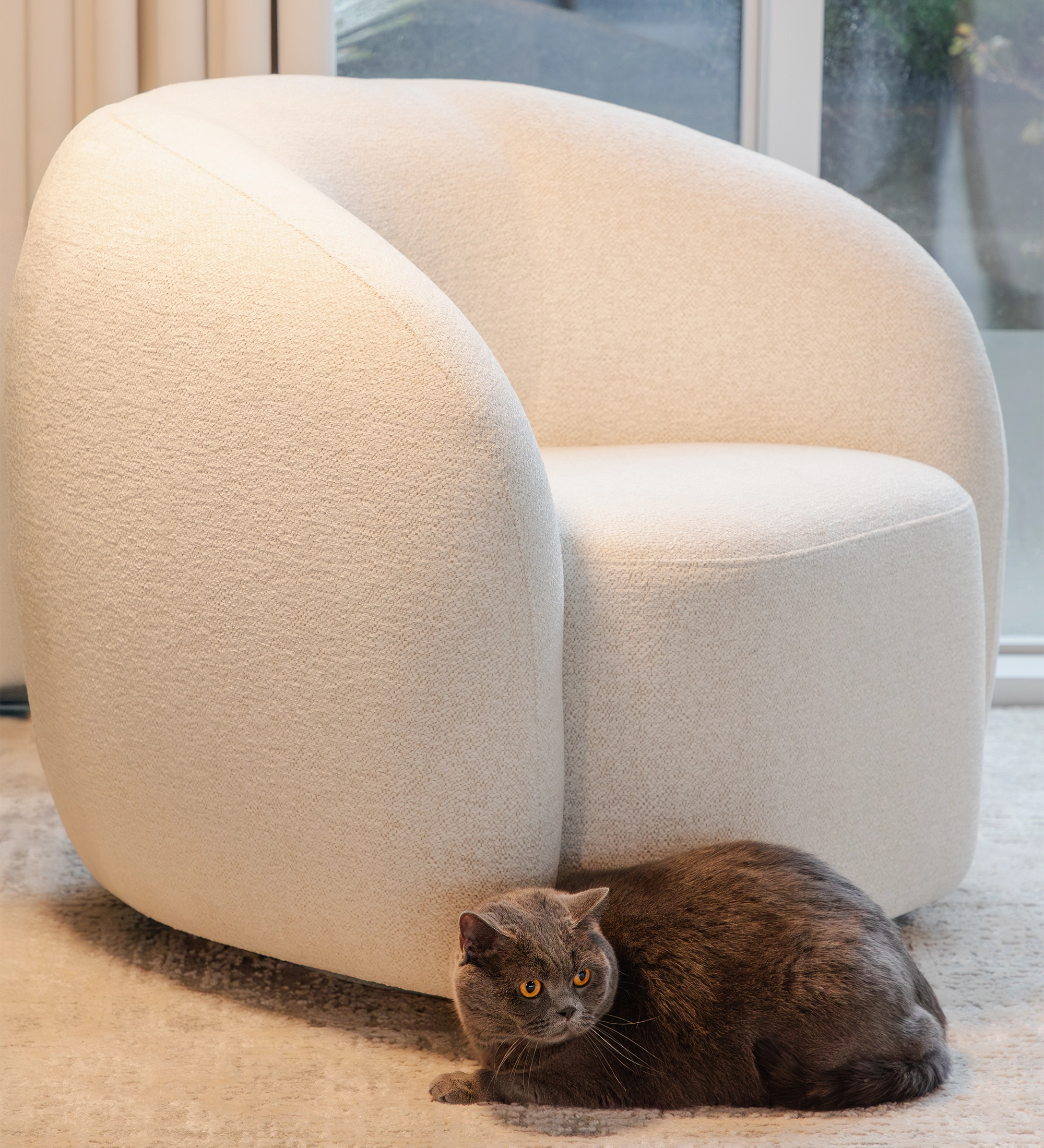 Fauteuil Monaco crème bouclé avec chat gris allongé au sol
