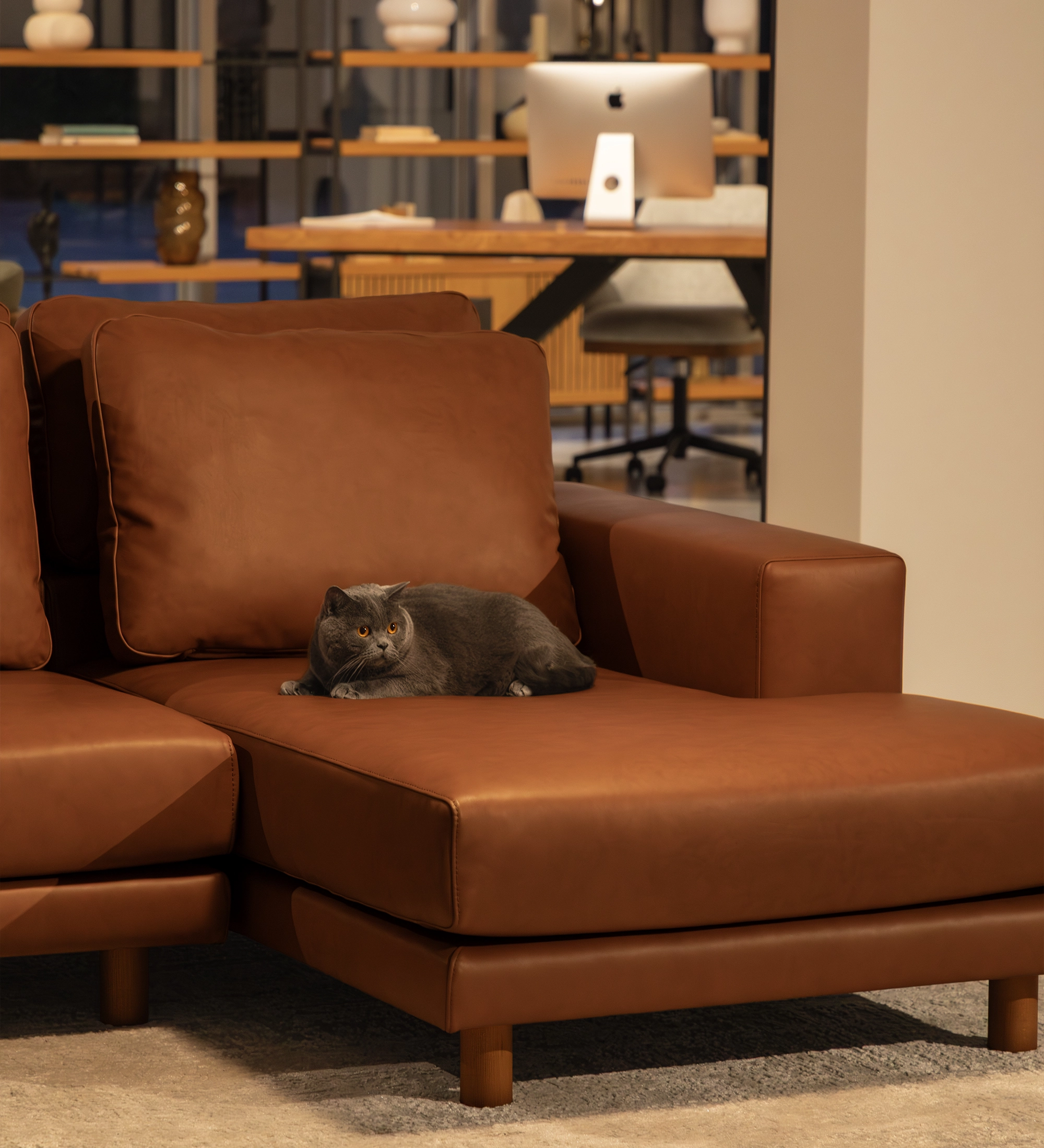 Dallas Sofa with Chaise Longue brown leather, gray cat lying on chaise
