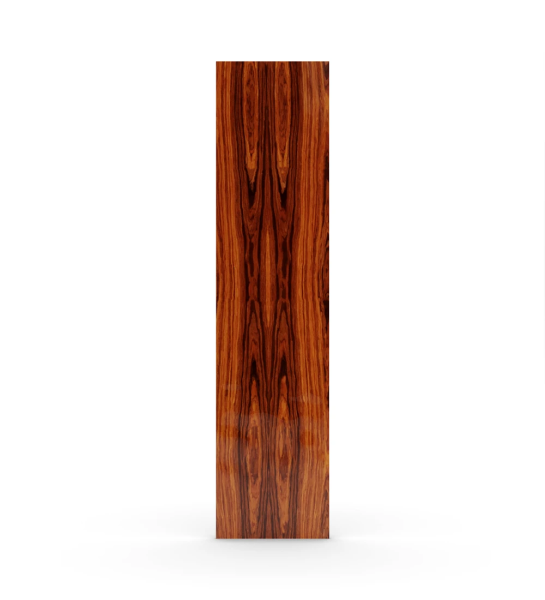 Decorative panel in high gloss palisander