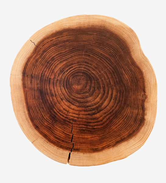 Mesa de centro Tronco alta en madera natural de cryptomeria, Ø 45 a 55 cm.