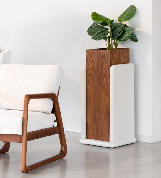 Flower box in pearl lacquer and natural walnut