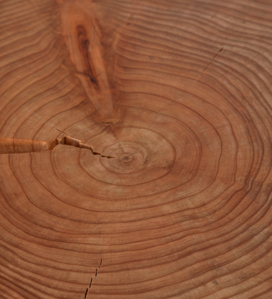 Mesa Auxiliar Tronco vista superior con anillos de crecimiento y grietas