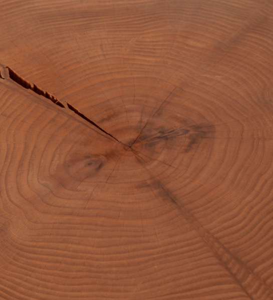 Trunk Center Table wooden top close-up showing growth rings and radial crack