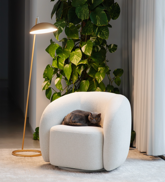 Fauteuil Monaco crème arrondi avec chat noir, lampe et plante d'intérieur