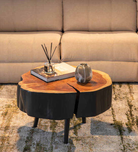 Mesa de Centro Tronco em tronco de madeira com laterais pretas, livro, difusor e vaso